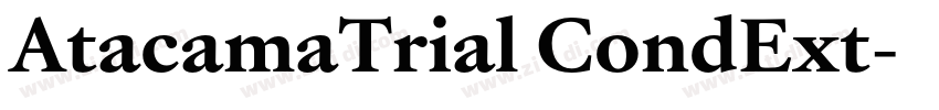 AtacamaTrial CondExt字体转换